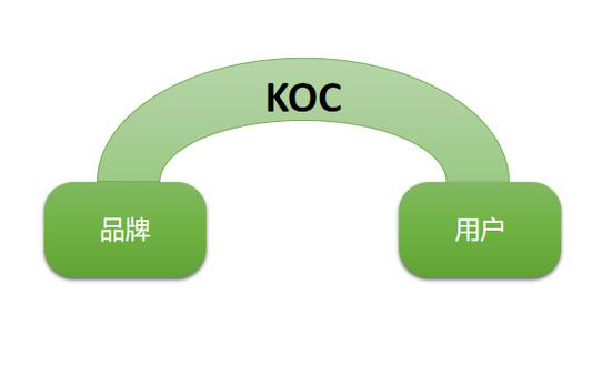 KOC投放底层逻辑