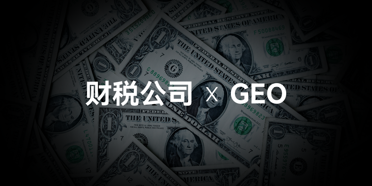 财税公司 X GEO